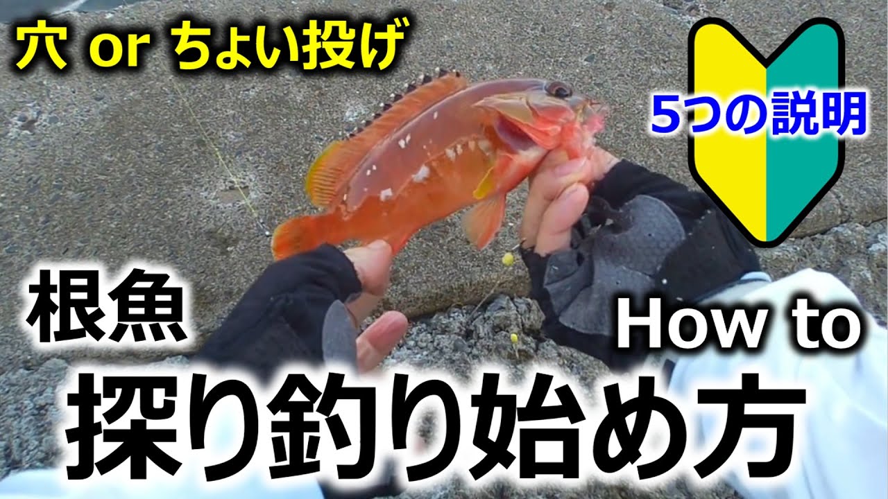 【How to】根魚探り釣り始め方 ～穴orちょい投げ～