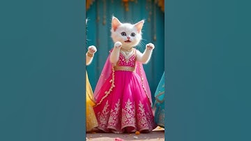 Thumbnail of TUK TUK Kitten Dance on Raod 🐾😻cat dance funny video cat #shorts #shortsfeed #dudidudidam #catshorts