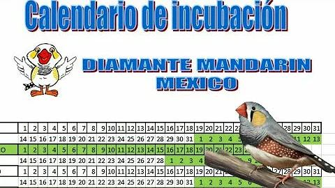 ¿Cuánto duran los diamantes?