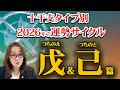 2026年 あなたの運勢(通変星)すべて教えます!~戊、己~