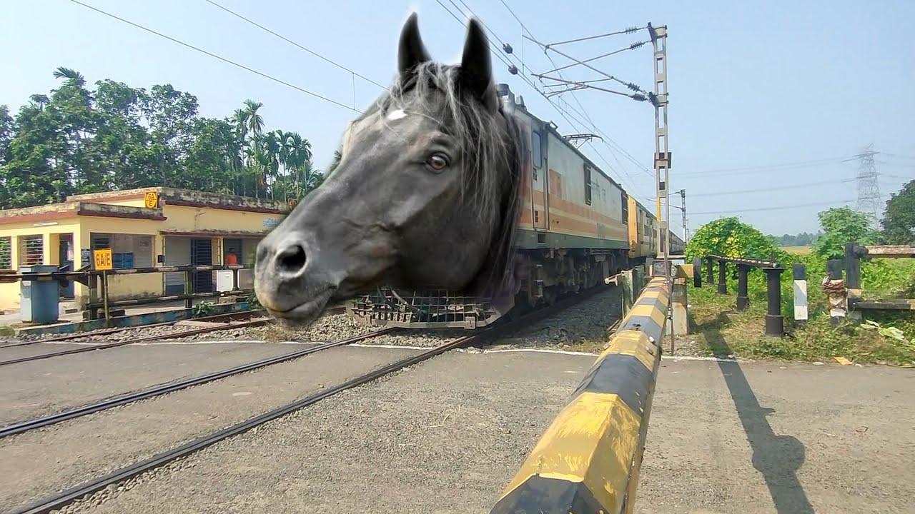 Dangerous Horse Headed Malda intercity Express Extreme Furious Moving Throughout at Railgate