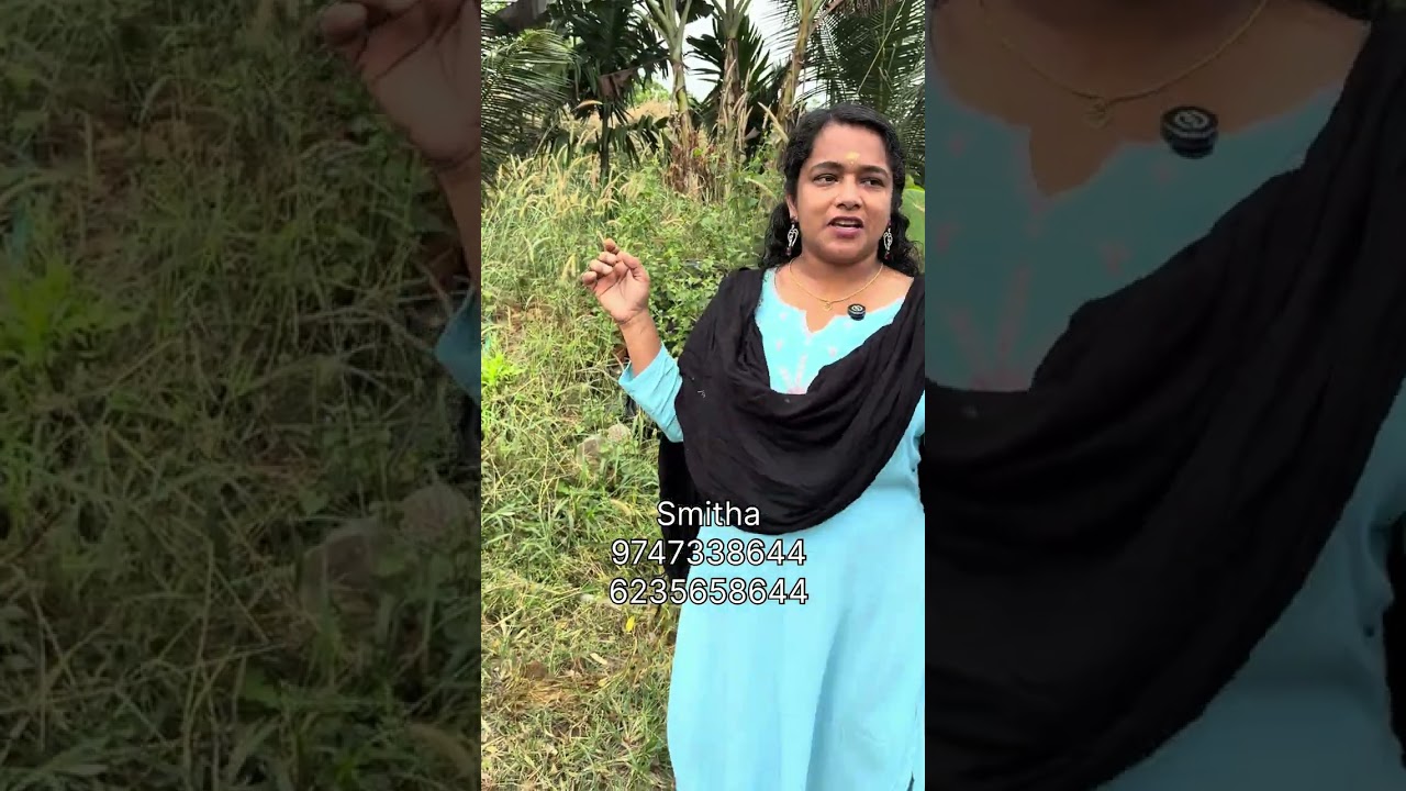 സ്മിതയുടെ കൃഷ്ണഗിരി പശുക്കൾ dairy farm