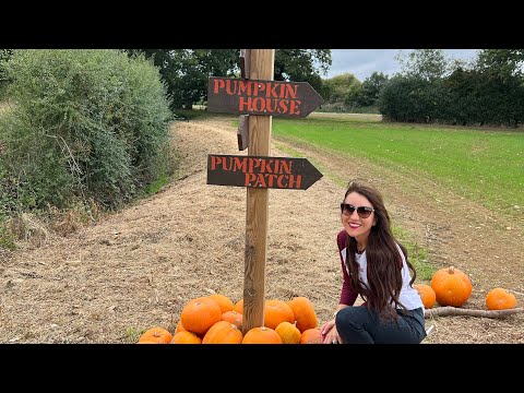 Pumpkin Picking at Otto’s Pumpkin Patch 🎃 - 1/10/2023