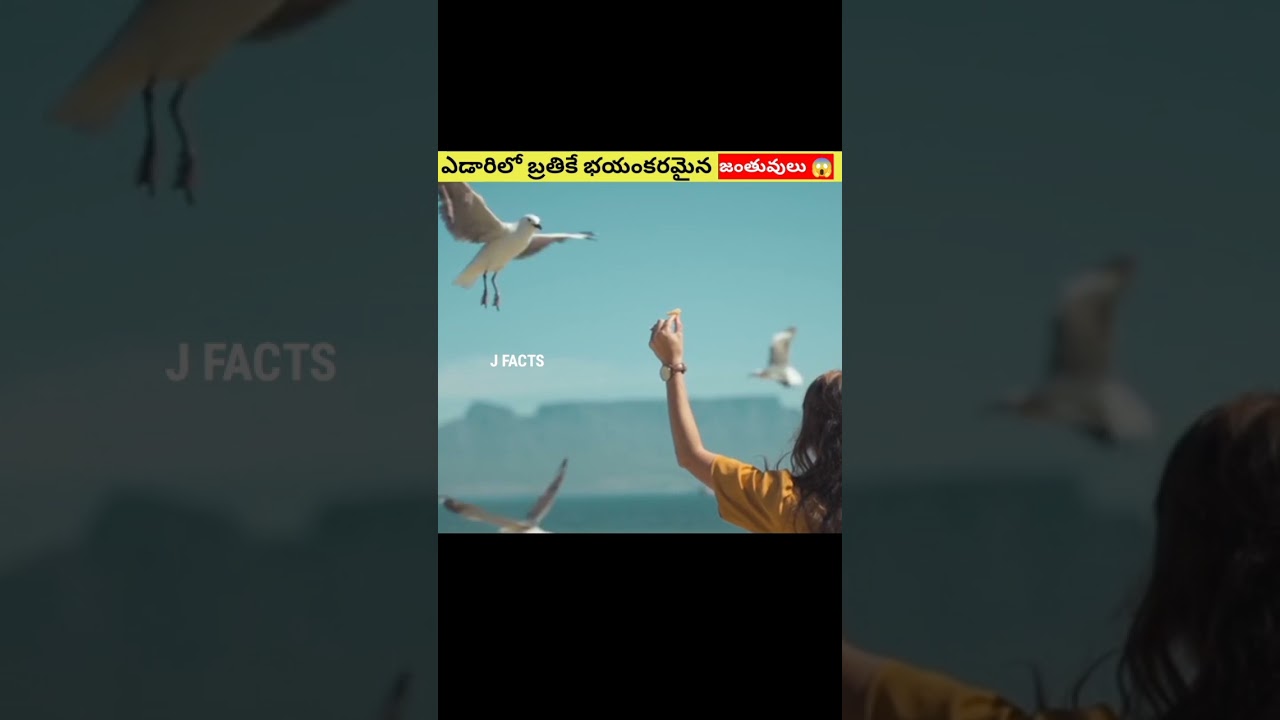ఎడారిలో బ్రతికే 3 భయంకరమైన జంతువులు💥|| intresting facts తెలుగులో|| #shorts #viral #facts
