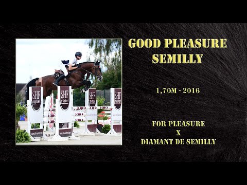 GOOD PLEASURE SEMILLY