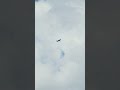 Airplane flying with birds around it! ✈️😉 #airplanespotting #birds #travel #aviation #viral