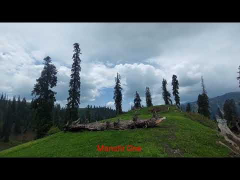 Sharan Forest || Pakistan travel - YouTube
