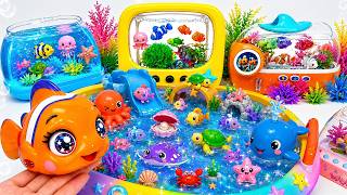 Satisfying Unboxing TV Aquarium Fish Tank & Ocean Sea Creatures Toys ASMR 🐠🌊