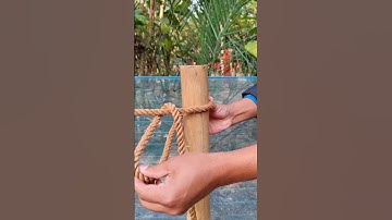 I believe! This knot is very effective and easy