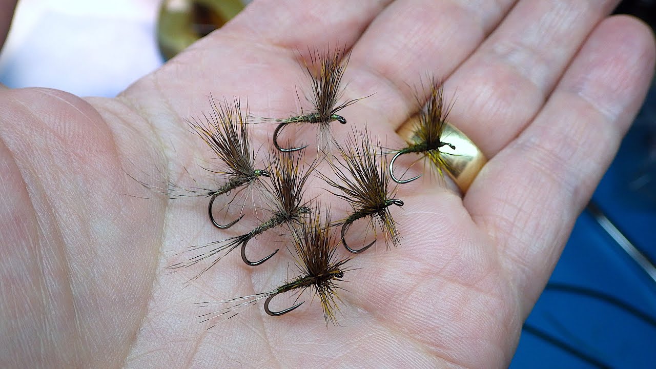 Tying the Golden Olive Hedgehog by Davie McPhail 