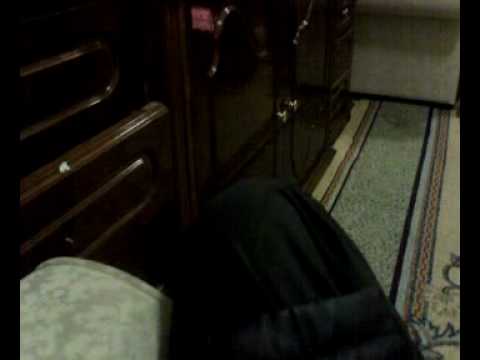 قصيده الوريكات اهل الحرشا لمحمود اليوسف Mp4