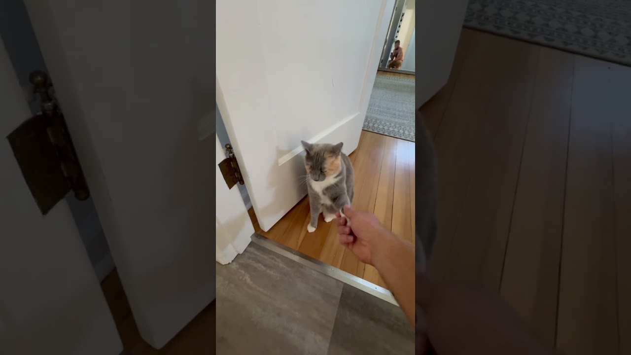 Put ‘er there, Layla.