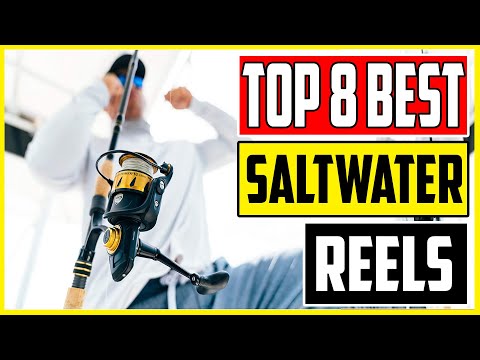 8 Best Saltwater Spinning Reels 2023 Top Spinning Reel Reviews