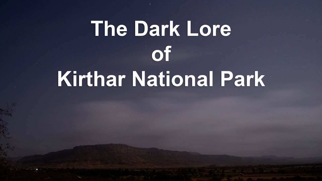 The Dark Lore of Kirthar National Park Animals in the night