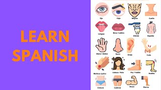 Discover Your Body! Spanish Body Parts Live Lesson.
