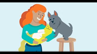 Learn More About Pets Best Pet Insurance