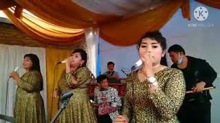 Hutur   Aek Sibulbulon Cover  Exotik Trio Boru Lopian Nauli
