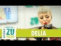 Delia - Fata verde (Phoenix) (Live la Marea Unire ZU)