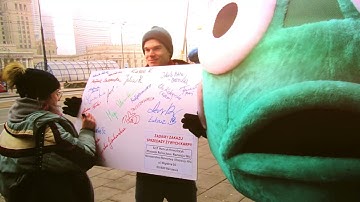 The EU must overhaul its laws for farm animal welfare