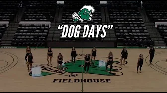 Dog Days - Showcase 2021