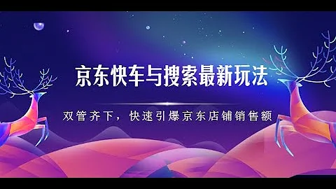 《京东快车与搜索最新玩法》 05 京东运营基础详解 - 天天要闻
