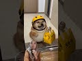 Nantik doggy🐕sakit perut #youtubeshorts #youtubeshorts #funny