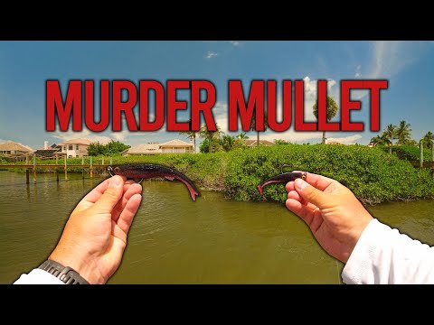 MURDER MULLET IS BACK + How I catch Fish with the NLBN Lil Mullet 
