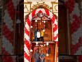 christmas day 2024 | Sant Paul Church Raipur | Sant Josuf Cathredal Church Raipur #thedhruwshow