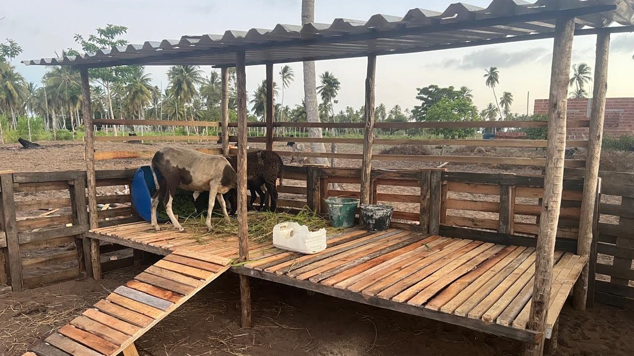 2°Parte  da baia + Resultado de como ficou a baia para os carneiros 