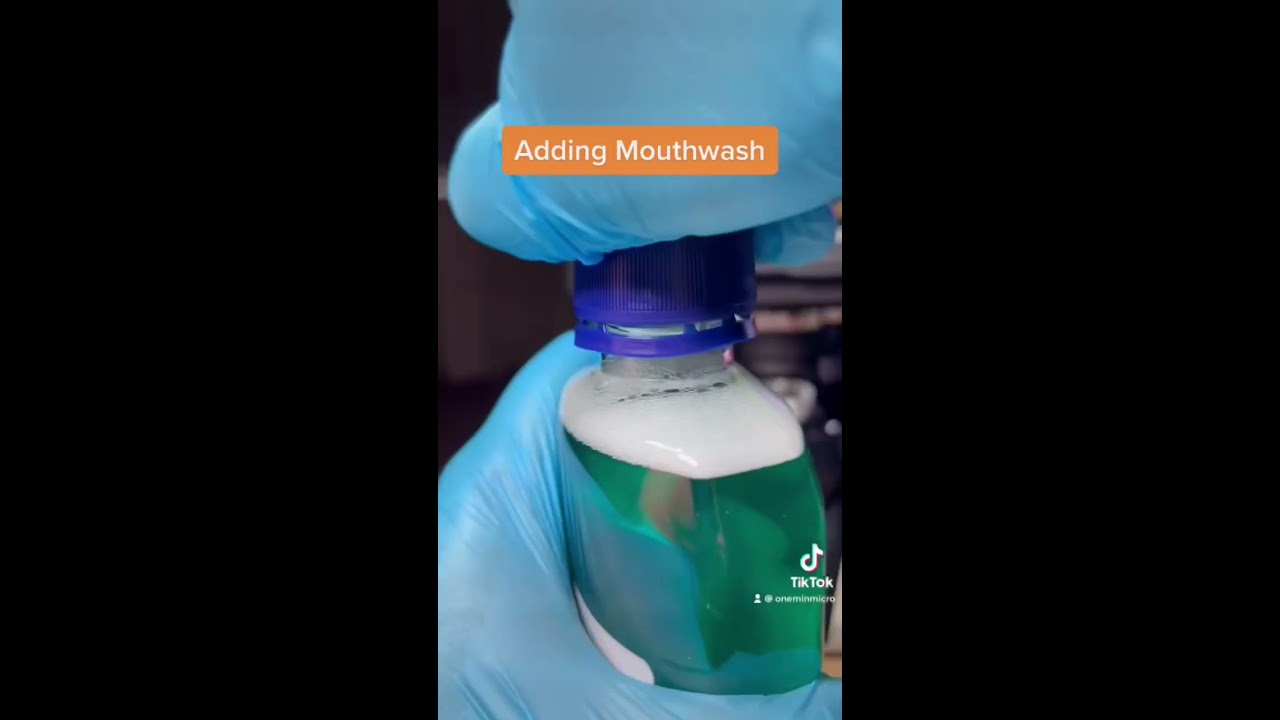 Mouthwash VS Bacteria Under The Microscope 