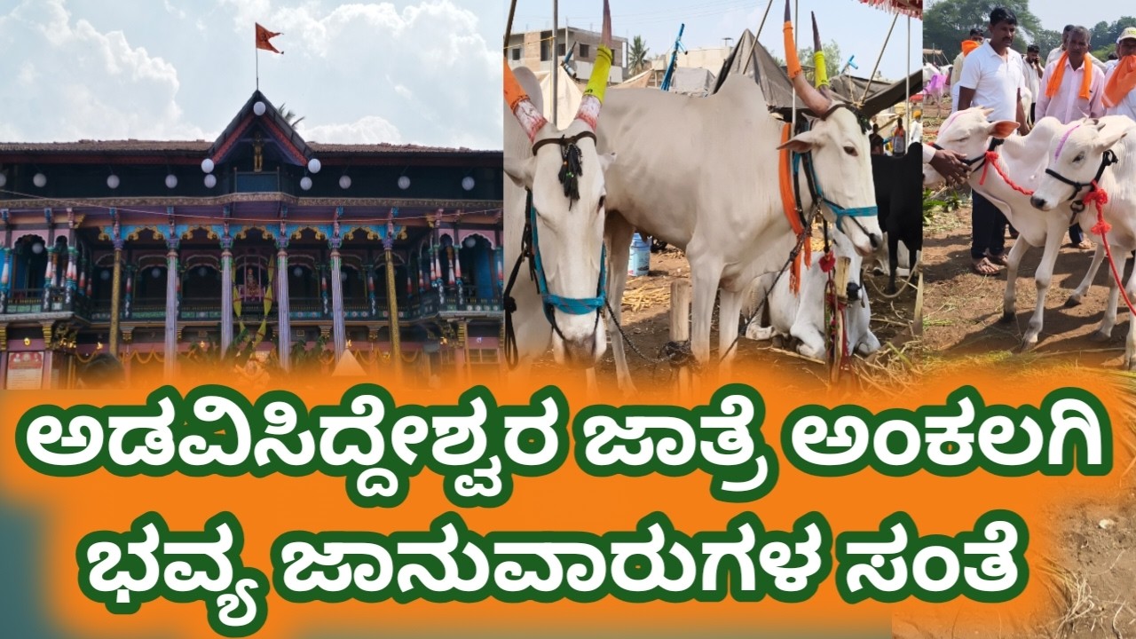 ಅಡವಿಸಿದ್ದೇಶ್ವರ ಜಾತ್ರೆ ಅಂಕಲಗಿ ಭವ್ಯ ಜಾನುವಾರುಗಳ ಸಂತೆ #bullfarm