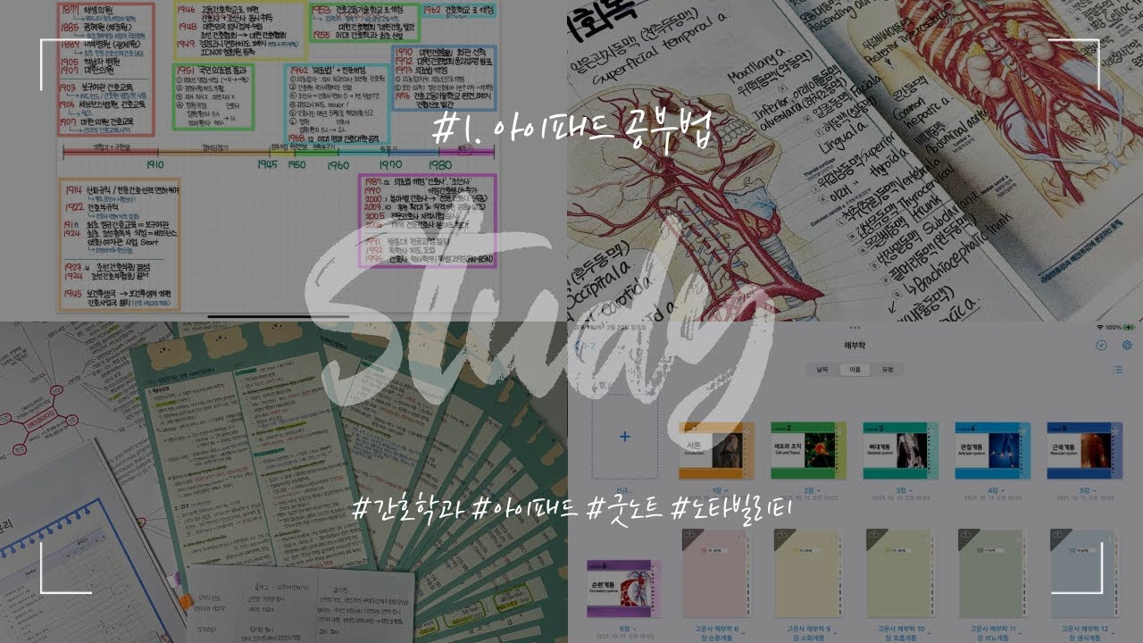 학점 4.36/4.5 간호학과 석차 1% 제리의 아이패드 공부법 #간호학과 #간호학과공부법 #아이패드공부법