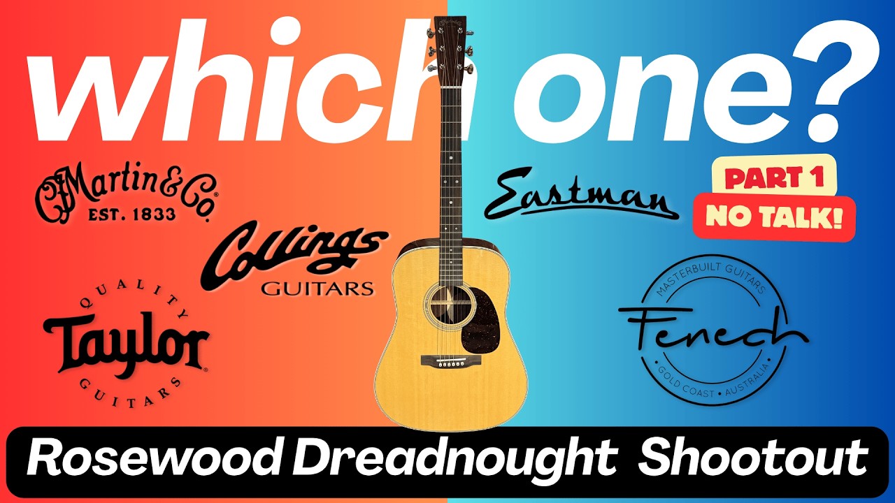 Mega Rosewood Dreadnought Shootout Part 1 - Demo by Michael