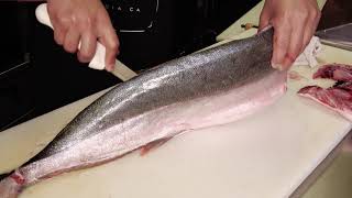 Fish 101 In Encinitas CA - How To Fillet A California Yellowtail