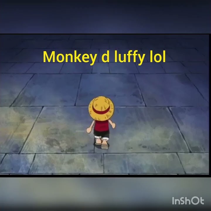 monkey d luffy funny moment and baka song