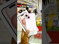 মার্কেট সেরা প্রাইজে iphone 15 কিনুন বক্স সহ আমাদের থেকে #gaziসাব #iphone #youtubeshorts