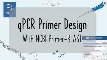 qPCR primer design with NCBI Primer-BLAST