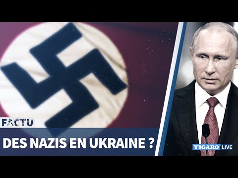 Download Y a-t-il des NAZIS en Ukraine?