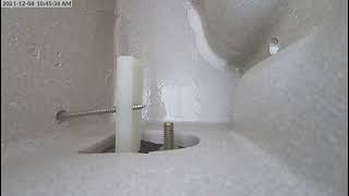 Phorid Flies Coming Up Through Bad Toilet Seal