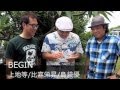 BEGIN feat. MISSION OF FUNKYてるてる坊主