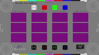 Murideo and ISF Red Blue Multiburst Test Pattern 1080p 24fps
