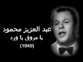 عبد العزيز محمود يامزوق ياورد 1949 عبد العزيز محمود يامزوق ياورد 1949