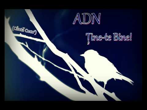 ADNeu - Ţine-te Bine! (Cântă Cucu') (Prod. de Argatu)