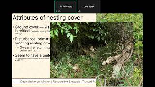Wild Webcast Wild Turkey Habitat Help 02-25-26
