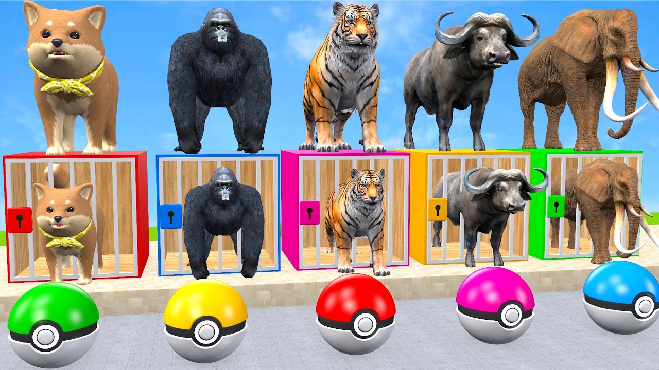 Long Slide Game With Cow Elephant Gorilla Hippopotamus Tiger 3d Animal Game Funny 3d Animals