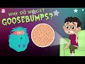 Why Do We Get Goosebumps The Dr Binocs Show Best Learning Videos For Kids Peekaboo Kidz 