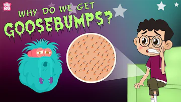 Why Do We Get Goosebumps? | The Dr. Binocs Show | Best Learning Videos For Kids | Peekaboo Kidz