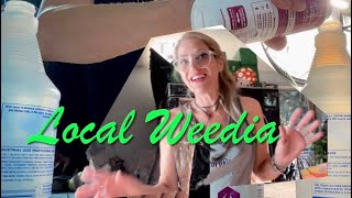 Upon Return/ Post Vacation Plants // Cannabis Nutrients & Tent-🪴’s Care