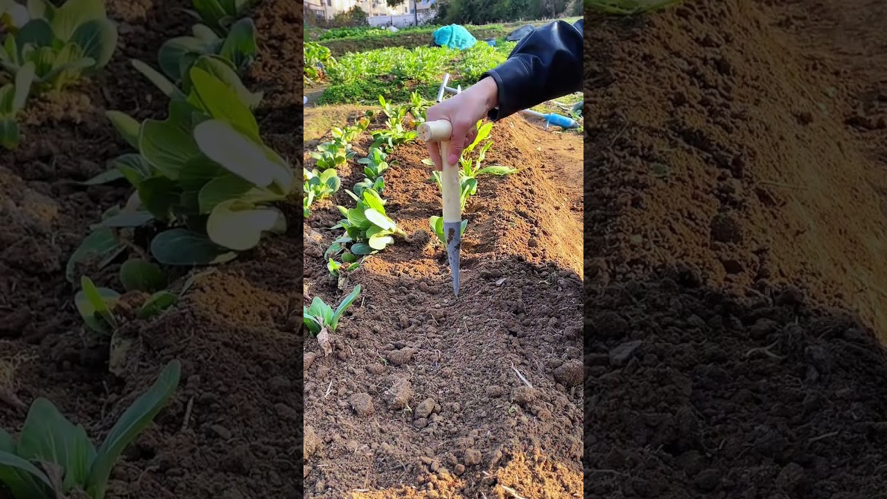 Guoyi Hole Drilling Tool 