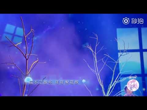 林志炫 2018 央視 秋晚 演唱梨花又開放
